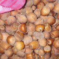 فندق محلی خشک تازه