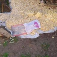 تفاله نارنج