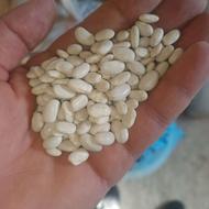 لوبیا سفید خوشبخت، اشی وابگوشتی