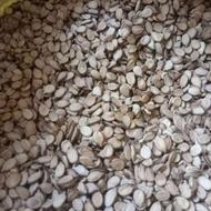 تخمه هندوانه پرمغزسالم