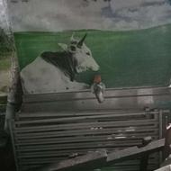 یخچال شیر سرد کن