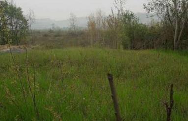 زمین باغی 2000 متری عالی برای ساخت ویلا با ویو زیبا