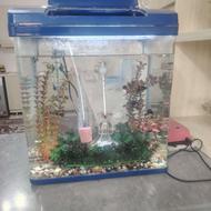 آکواریوم شیشه خم