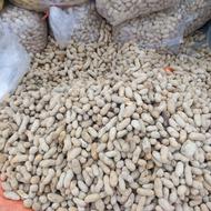 بادام زمینی