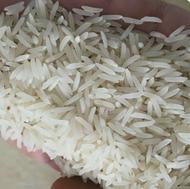 برنج طارم هاشمی کشت دوم