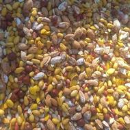 آجیل تازه پخت