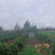 فروش باغ مرکبات 100 متری بزمینان