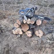 خریدار چوب درخت