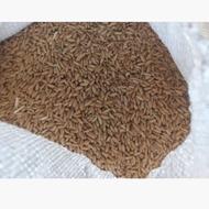 خرید و فروش گندم