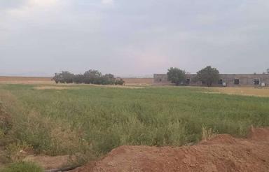 فروش زمین و مرغداریچیذری