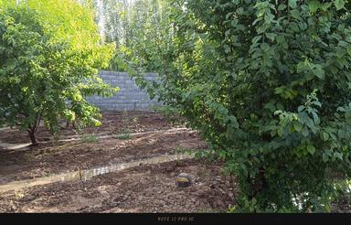 510 متر باغچه فروشی