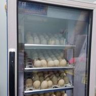 پذیرش تخم نطفه دار غاز برای دستگاه جوجه کشی به صورت شریکی