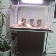 آکواریوم با ماهی