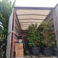 باربری محبوب گستر ایرانیان