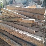 خرید وفروش انواع چوب الات باغی
