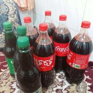 ترشی کنس جنگلی