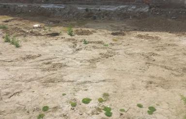 فروش زمین 189 متر در خیابان کفشگرکلا عدالت 41