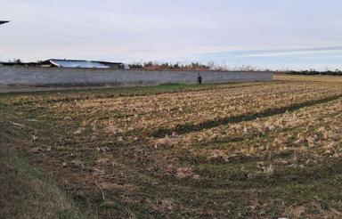 700متر شالیزار 200 متریه بافت مسکونی