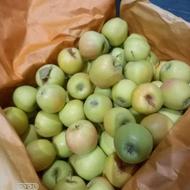 فروش سیب درجه 2