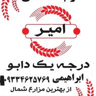 طارم هاشمی فریدونکنار