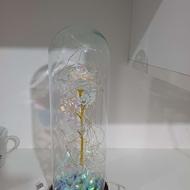 شب خواب نو هستش