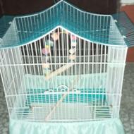 قفس طوطی و پرنده