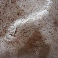 کادار چوب راش و روس