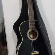 گیتار آریا ak24