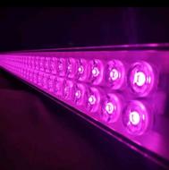 نور مخصوص پرورش گل و گیاه(آپارتمانی وآکواریوم)