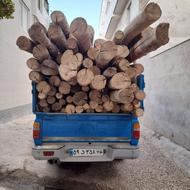 خریدار انواع تیر خشک