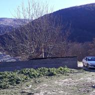 120 مر زمین در کالج