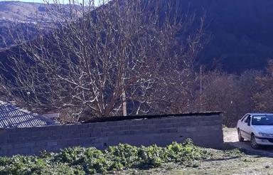 120 مر زمین در کالج