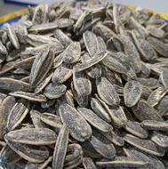 تخمه تازه و خوشمزه