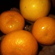 پرتغال تامسون درجه یک ونارنگی