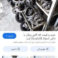 کله گاوی داغی دف