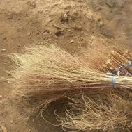 بهترین جارو دستی