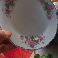 پیشدستی گلسرخی متوسط 12 عد دو دست