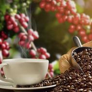 پخش قهوه با بهترین کیفیت