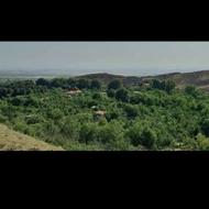 1200 متر زمین مناسب ویلا در منطقه خوش آب و هوا فیلخانه