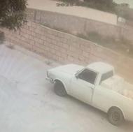 فنی سالم بشرط