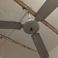 پنکه زیر قیمت بازار