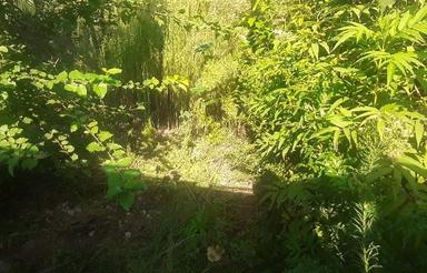 زمین با تغییر کاربری مسکونی به متراژ 242متر