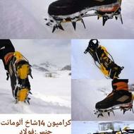 کرامپون 14 شاخ آلومانت