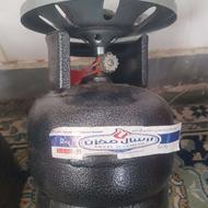 پیکنیک نو دارای نشان استاندارد