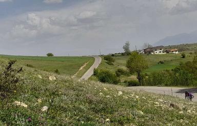 زمین باغی داخل طرح