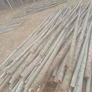 خرید ضایعات چنار به قیمت 6هزار و تسویه انی