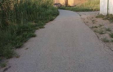 زمین ،خانه باغ