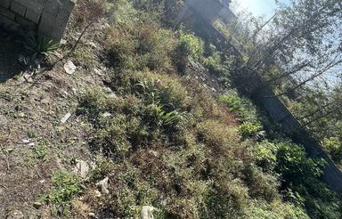 250 متر زمین محصور پروانه‌دار ماسال