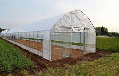 1000 منر زمین سنددار ملک اباد چهارباغ