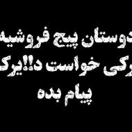 پیج 313 k فروشی